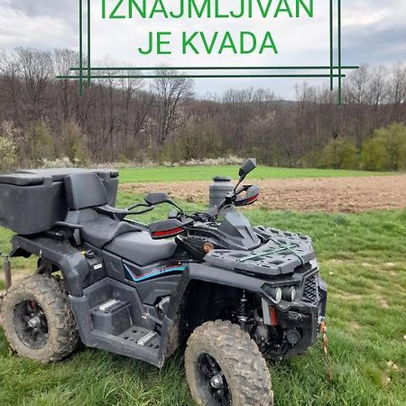 Plavna Etno Kuca Badejevicヴィラ エクステリア 写真