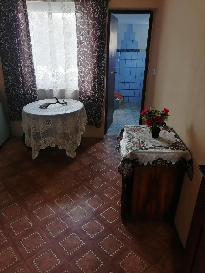 Plavna Etno Kuca Badejevicヴィラ エクステリア 写真