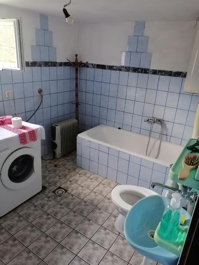 Plavna Etno Kuca Badejevicヴィラ エクステリア 写真